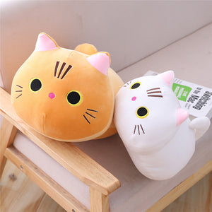 Cute Cat Pillow